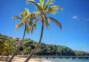 Superbe Appart T2 de standing, à l'Anse à l'âne, à 5mn à pied des plages